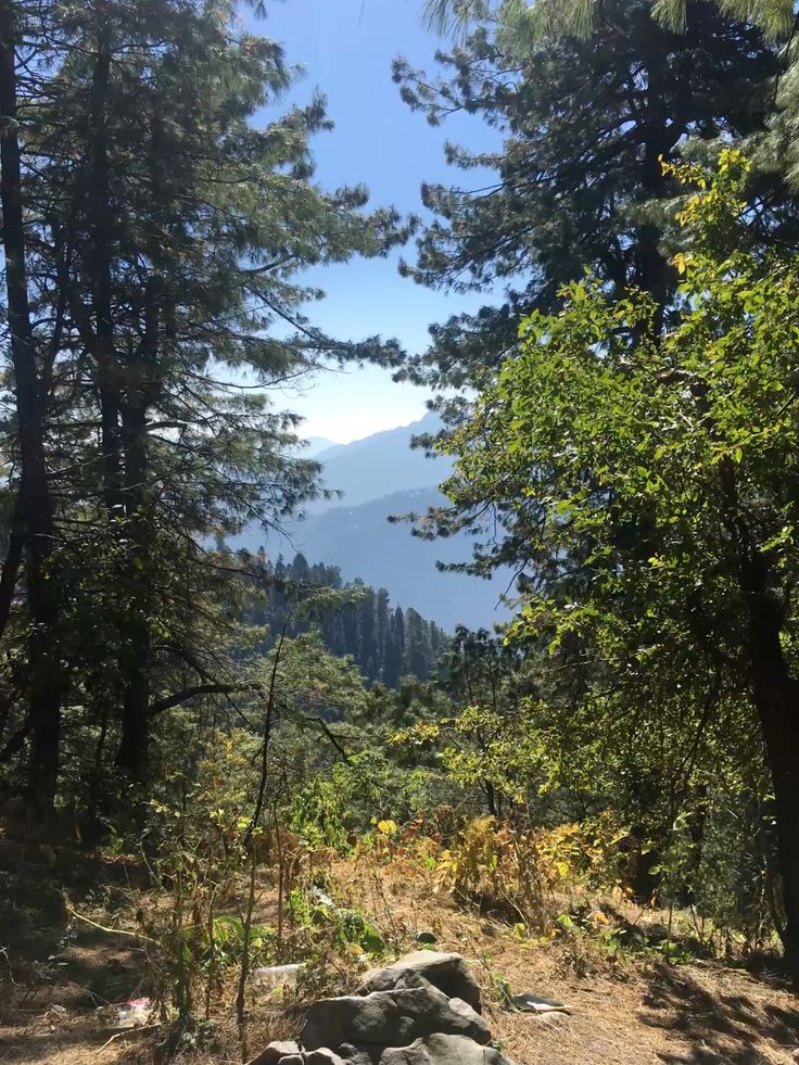 Islamabad, Murree & Nathia Gali – 3 Days / 2 Nights - Experience