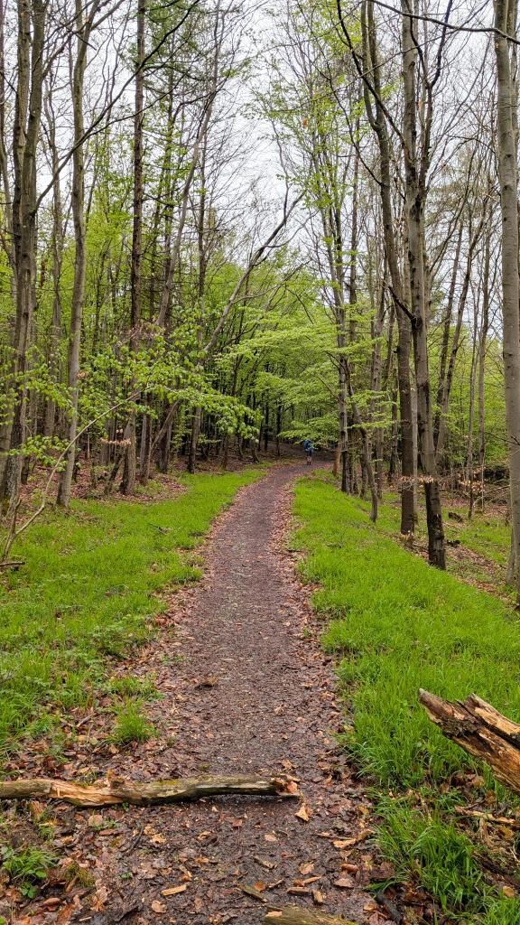 Naran & Shogran Tour – 5 Days / 4 Nights - Experience